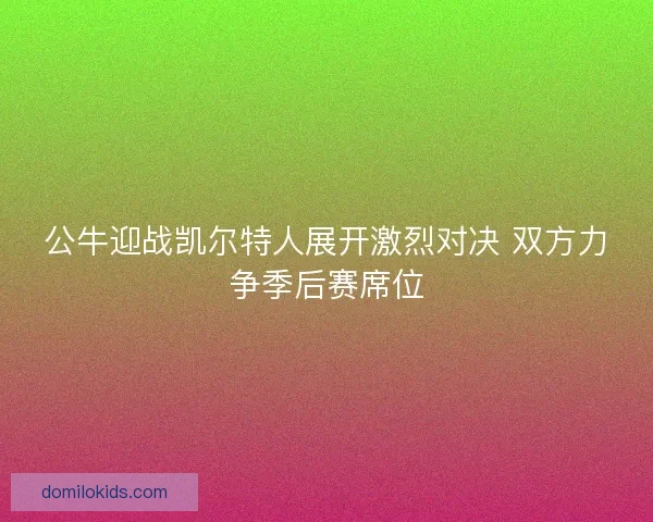 公牛迎战凯尔特人展开激烈对决 双方力争季后赛席位